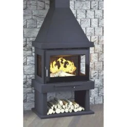 Chimenea Frontal De Leña C-303