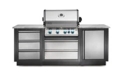 Costado Para Módulos Oasis Napoleon -Biohort || Napoleon || Weber Tienda de ventas Costado para Modulos Oasis Napoleon 2