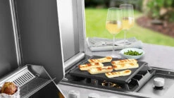 Isla Proline Tapa Horno Y Nevera Beefeater 13 Isla Proline Tapa Horno Y Nevera Beefeater -Biohort || Napoleon || Weber Tienda de ventas Isla Proline Tapa Horno y nevera Beefeater 4