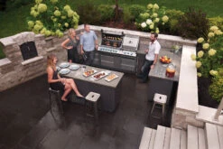 Napoleon Módulo Oasis Para Fregadero 9 Napoleon Módulo Oasis Para Fregadero -Biohort || Napoleon || Weber Tienda de ventas Modulo Oasis para Fregadero 3