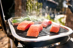 Weber Lumin 1000 Compact Negra Con Soporte -Biohort || Napoleon || Weber Tienda de ventas Weber Lumin 1000 Compact Negra con Soporte 16