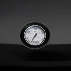 Weber Lumin 1000 Compact Negra Con Soporte -Biohort || Napoleon || Weber Tienda de ventas Weber Lumin 1000 Compact Negra con Soporte 4656