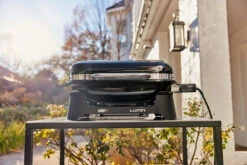 Weber Lumin 2000 Negra 21 Weber Lumin 2000 Negra -Biohort || Napoleon || Weber Tienda de ventas Weber Lumin 2000 Negra 9