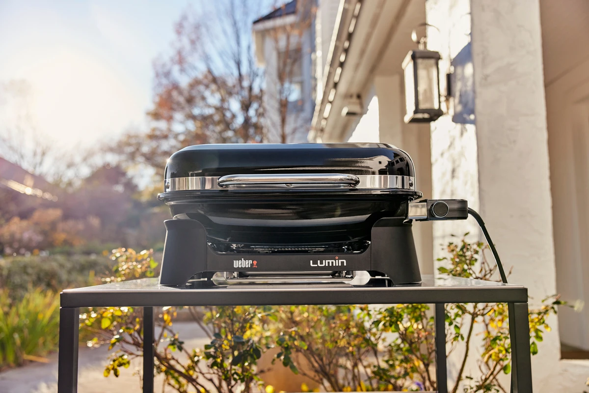 Weber Lumin 2000 Negra 12 Weber Lumin 2000 Negra - Imagen 10