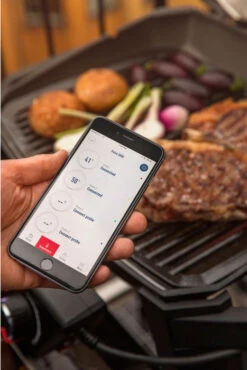 Weber Pulse 1000 -Biohort || Napoleon || Weber Tienda de ventas Weber Pulse 1000 10