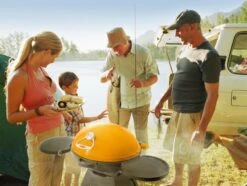 Barbacoa Bugg Beefeater -Biohort || Napoleon || Weber Tienda de ventas barbacoa bugg beefeater 8