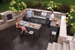 Módulo Oasis Quemador Lateral Napoleon Serie 700 De 10 Y 12 KW 7 Módulo Oasis Quemador Lateral Napoleon Serie 700 De 10 Y 12 KW -Biohort || Napoleon || Weber Tienda de ventas oasis bipro825 lifestyle 2